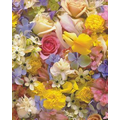 Gift Wrap (24"x100') FLORAL MEDLEY